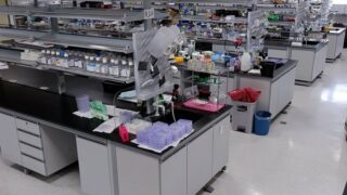 Testivací laboratoř na koronavirus.