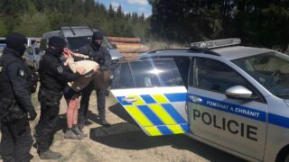 V nouzovém stavu hrozí za padělání průkazu o negativitě na covid až 8 let