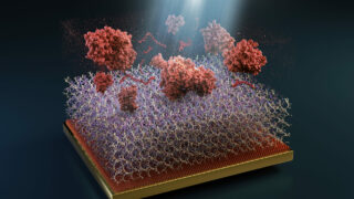 Ilustrační foto: neuroncollective.com