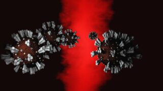 V Česku se opět zlepšila bilance.