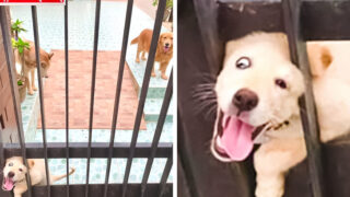 Některé momentky jsou nevysvětlitelné