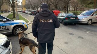 Policie po pitvě kojence vyloučila cizí zavinění.