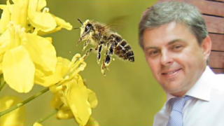 Tomáš Melichar se obává o hmyzí říši.