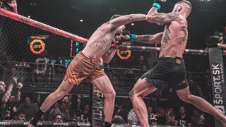 Kohout podlehl Brichtovi.