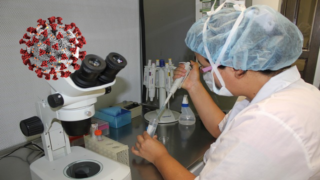 Počet nakažených za neděli přesáhl hranici 300.