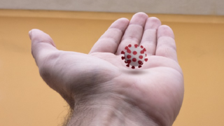 V sobotu laboratoře provedli nejméně testů za tři měsíce.