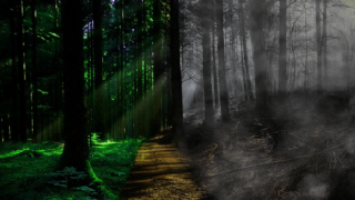 Život po smrti podle vědců existuje.