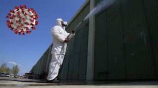 Koronavirus je respirační onemocnění.