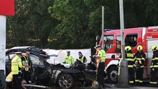 Nárazil byl silný, řidič na místě zemřel.