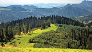 Dovolená v Česku může být mnohem zajímavější než u moře.