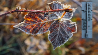 Pondělní ráno bylo velmi mrazivé.