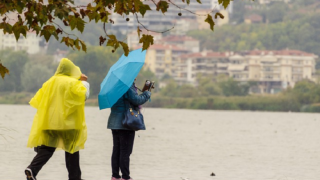 Letošní léto je spíše chladnější.