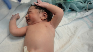 Ilustrační snímek