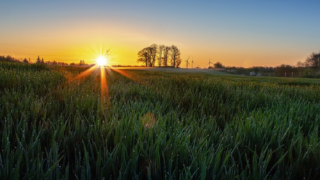 Počasí bude slunečné a deštivé....