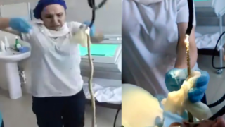 Had měřil 120 centimetrů