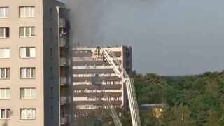 Archiv David Škrobala