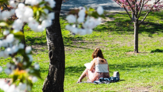 Příjemné teploty se vrátí do Česka