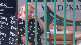 Herečka Pavla Tomicová