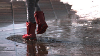 Ilustrační snímek