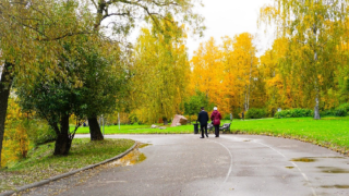 Ilustrační snímek