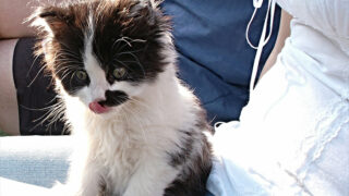 Ilustrační snímek