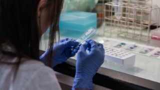 Ilustrační snímek