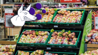 Ilustrační snímek