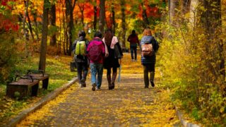 Ilustrační snímek