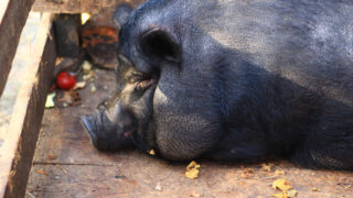 Ilustrační snímek