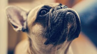 Ilustrační snímek