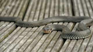 Ilustrační snímek