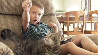 Kočka Tara zachránila tehdy 4letého chlapce. Dnes je mu 10 let