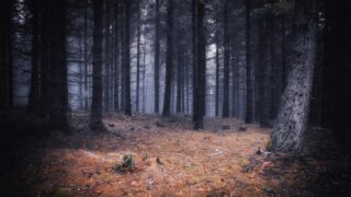 Ilustrační snímek