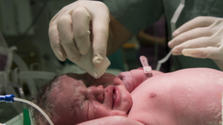 Ilustrační snímek