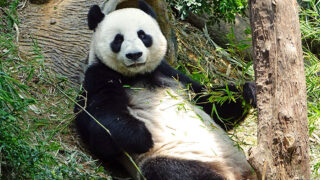 Ilustrační snímek