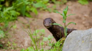 Ilustrační snímek