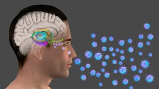 Covid-19 - Ilustrační snímek