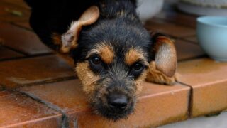 Ilustrační snímek