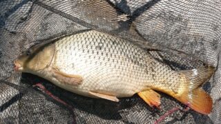 Ilustrační snímek