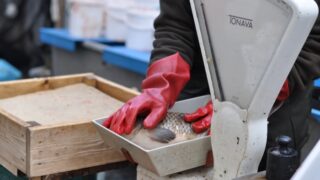 Ilustrační snímek