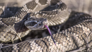 Ilustrační snímek