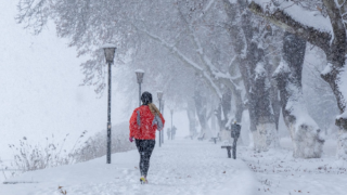 Ilustrační snímek