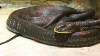 Ilustrační snímek