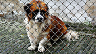 Ilustrační snímek