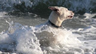 Ilustrační snímek