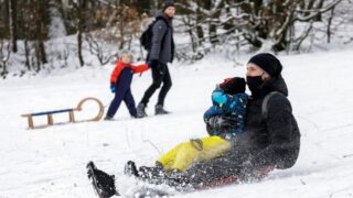 Sáňkování - Ilustrační snímek