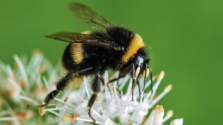 Ilustrační snímek