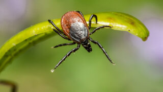 Ilustrační snímek