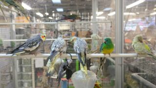 Ilustrační snímek