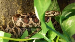 Ilustrační snímek